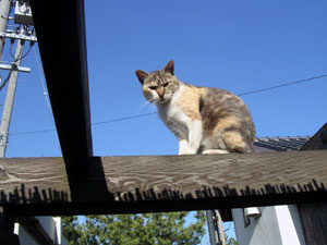 c0104445_2159473.jpg