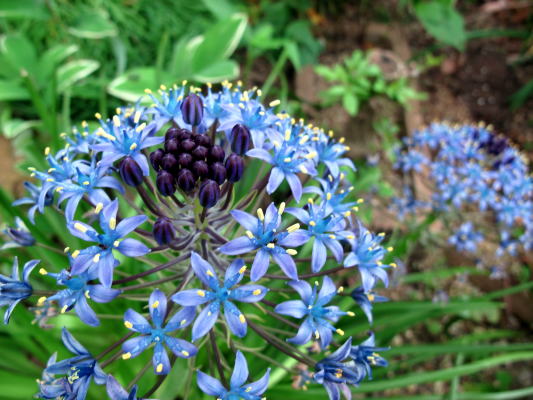 c0147952_1444544.jpg