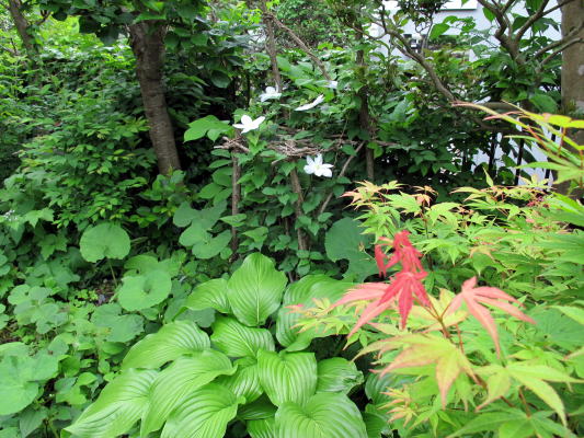 c0147952_1515647.jpg
