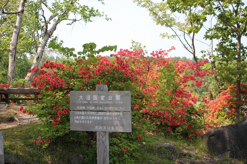 b0250154_17545502.jpg