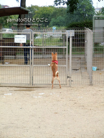 a0286855_8411421.gif