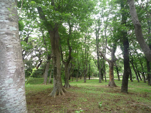 b0045357_12585840.jpg
