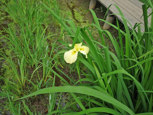 b0045357_1332765.jpg