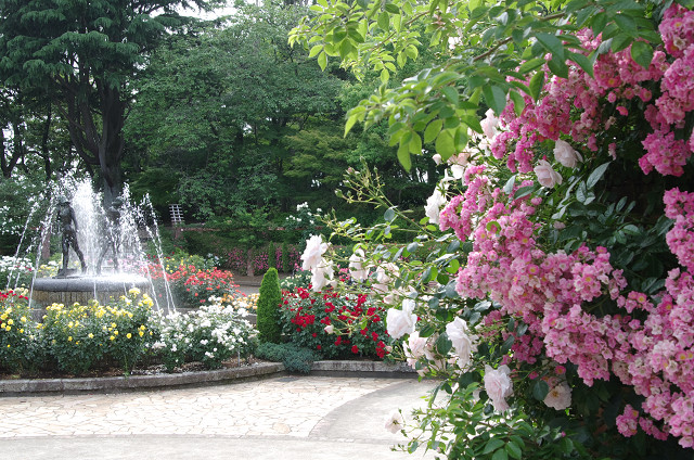 c0080357_9201079.jpg