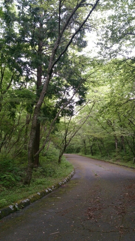 e0201060_18561131.jpg