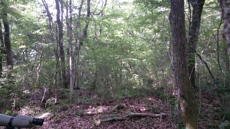 e0201060_19072375.jpg
