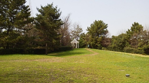 d0120665_15543493.jpg