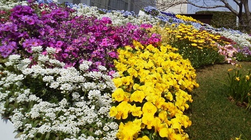 d0120665_15581659.jpg