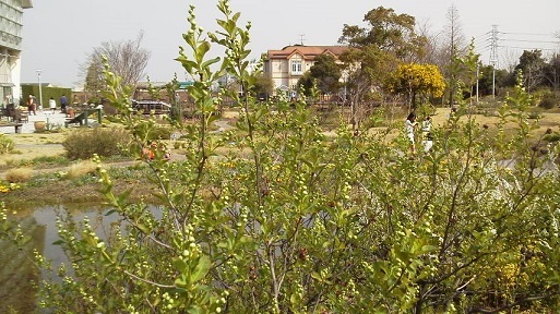 d0120665_16020781.jpg