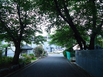 e0002466_634589.jpg
