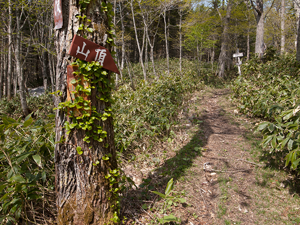 f0054366_20582346.jpg