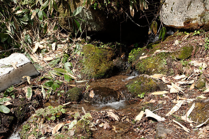 f0054366_20582364.jpg
