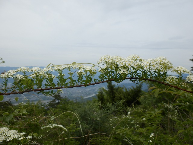 f0057070_12151838.jpg