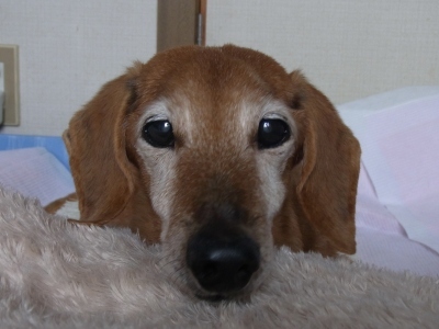 f0233876_18561210.jpg