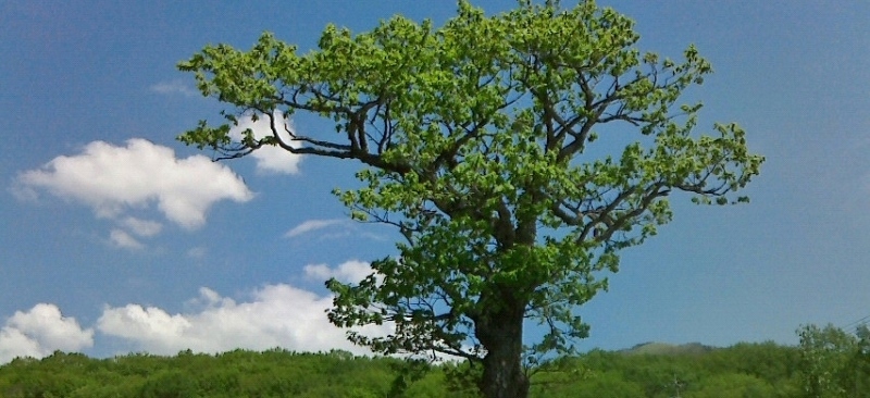 f0007580_2354281.jpg