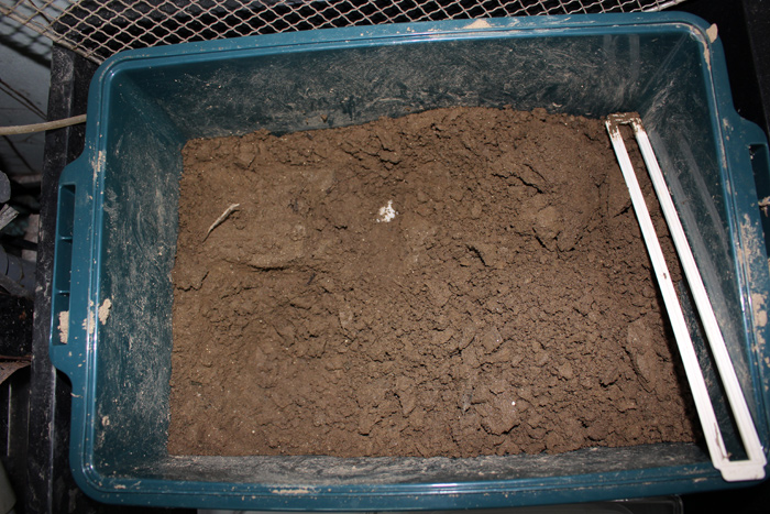 e0018082_2331314.jpg