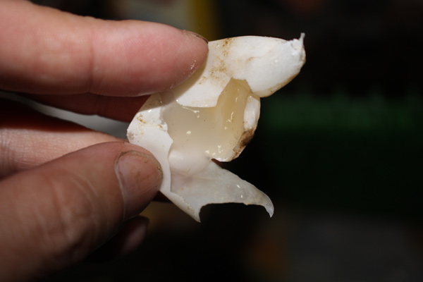 e0018082_23395829.jpg