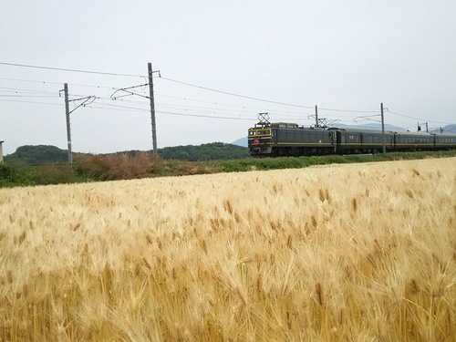 c0204188_2127559.jpg