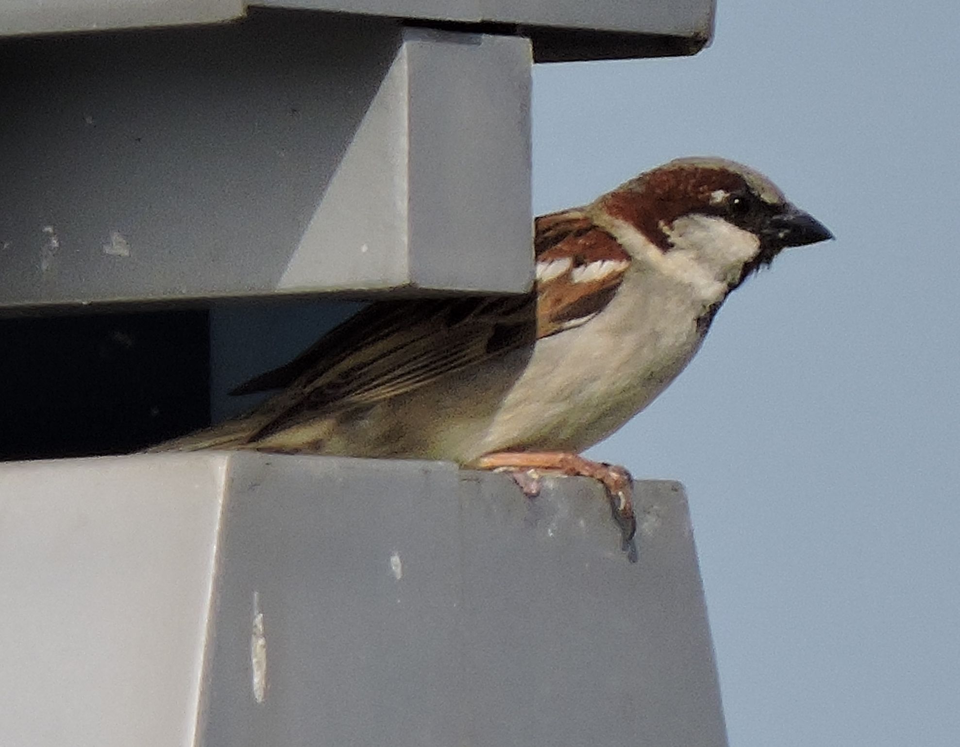 e0241093_861475.jpg