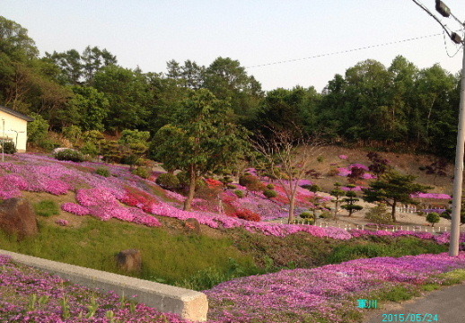 a0337807_00262564.jpg