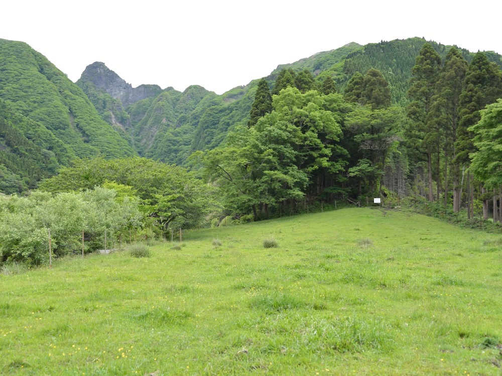 b0277008_20552859.jpg