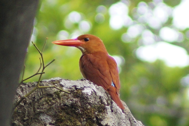c0042418_7585555.jpg