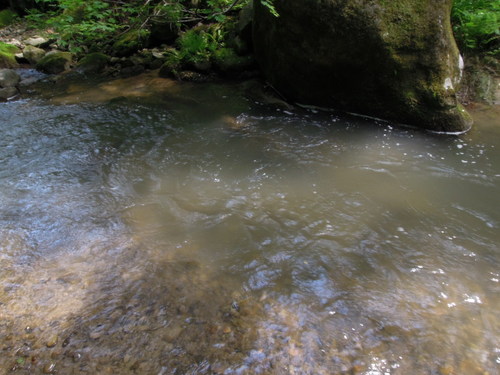 e0147226_2232379.jpg