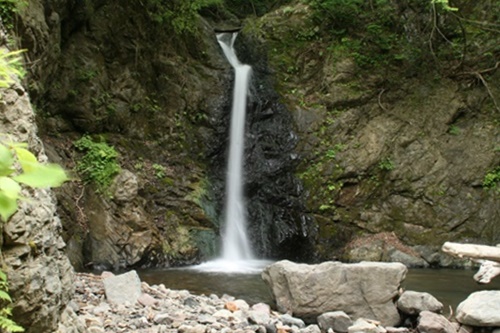 e0033229_8335744.jpg
