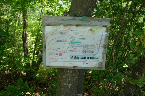 b0281732_14385639.jpg