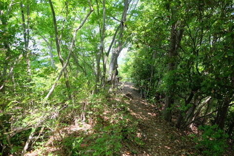 b0281732_14392673.jpg