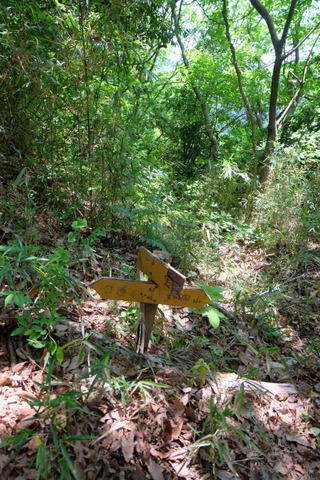 b0281732_14401493.jpg