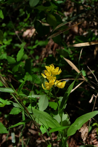 b0281732_14405132.jpg