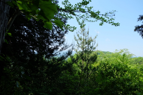 b0281732_14411226.jpg