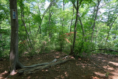 b0281732_14412124.jpg