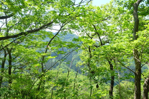 b0281732_14422484.jpg