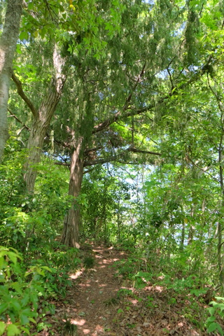 b0281732_14424519.jpg