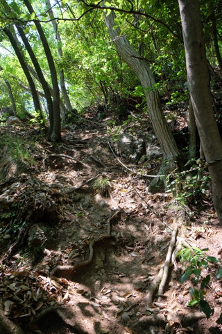 b0281732_14425331.jpg