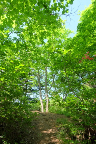 b0281732_1442686.jpg