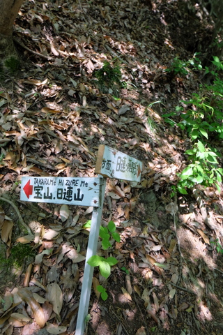 b0281732_1443021.jpg