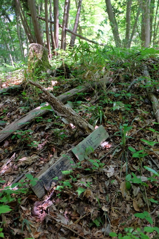 b0281732_14431553.jpg