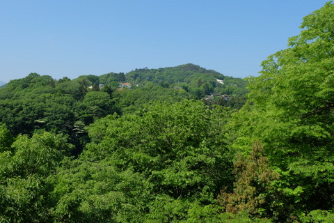 b0281732_1444248.jpg