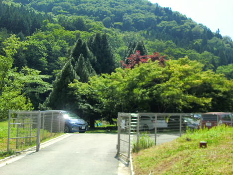 c0236632_8111739.jpg