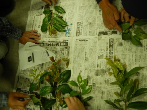 f0118332_01182656.jpg