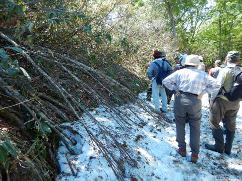 f0118332_01222758.jpg