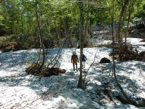 f0118332_01301120.jpg