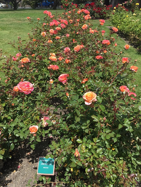 b0198033_6364313.jpg