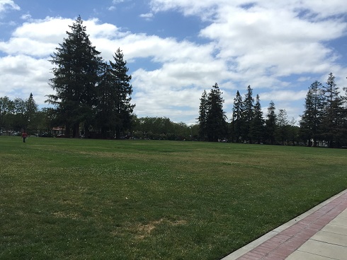 b0198033_7104567.jpg