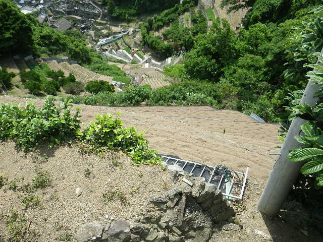 c0183137_183144.jpg