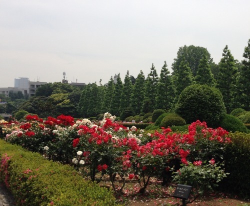 d0106242_09055530.jpg