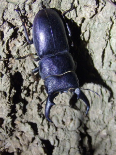 f0104042_18132560.jpg